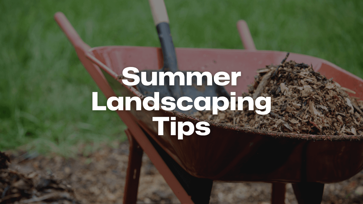 Summer Landscaping Tips