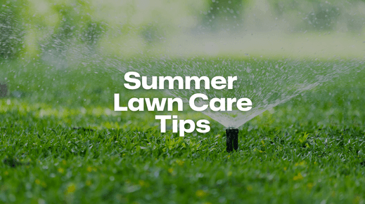 SummerLawnCare.png