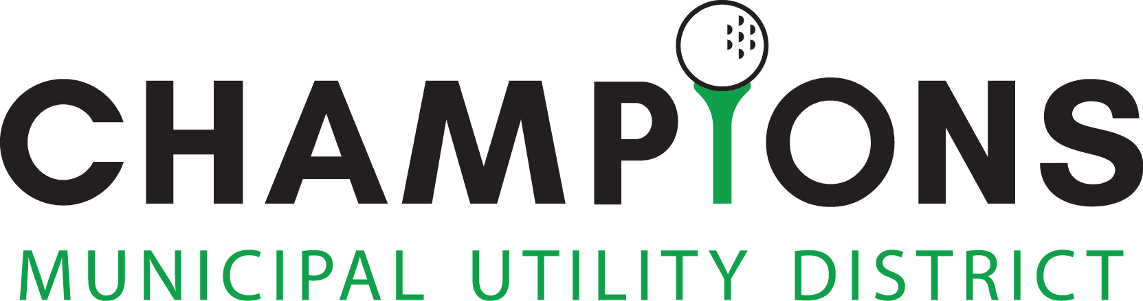 champions Final Logo nobackground